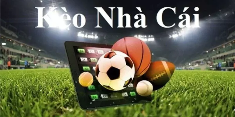 cách đọc kèo nhà cái